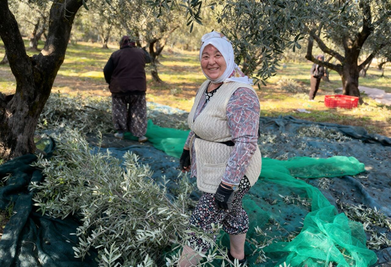 Zeytinyağı dünyasında “erken hasat” ifadesi, sadece bir üretim zamanı değil, aynı zamanda kalite, sağlık ve lezzetin simgesidir. Olyvian olarak biz, erken hasadın değerini biliyor; her damlada doğanın en saf halini sofralarınıza taşıyoruz.