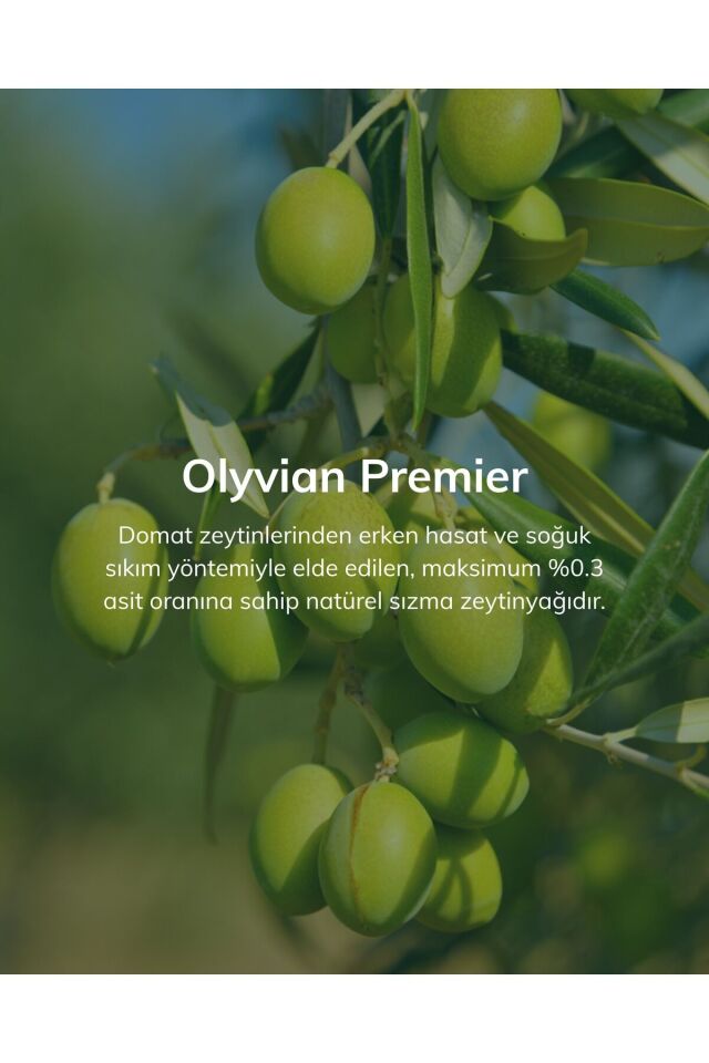 Premier Doğal Zeytinyağı 3 L – Domat Cinsi Erken Hasat Soğuk Sıkım Natürel Sızma