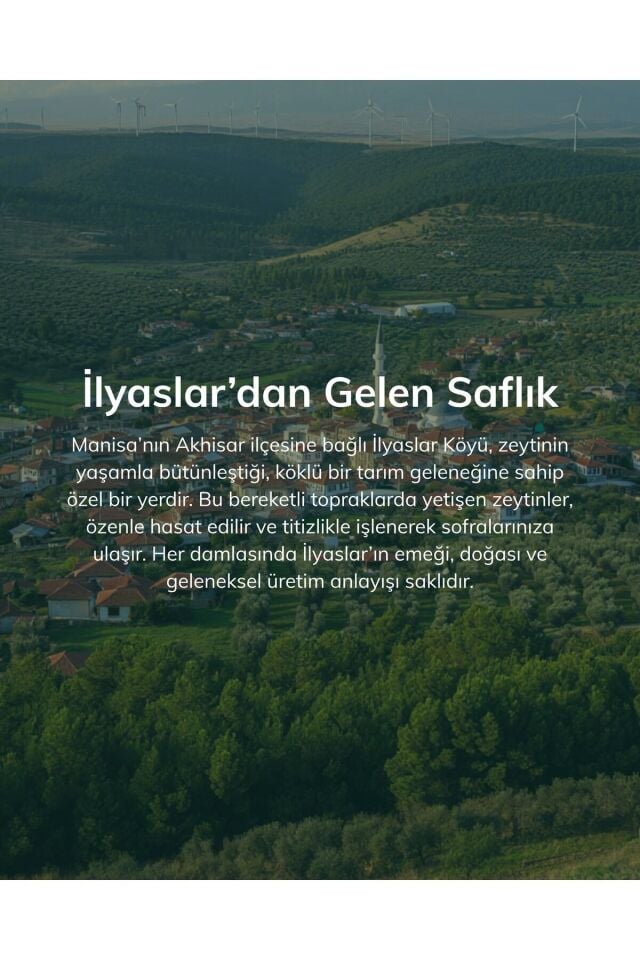 Premium Doğal Zeytinyağı 3 L – Edremit & Trilye Cinsi Natürel Sızma (Soğuk Sıkım)