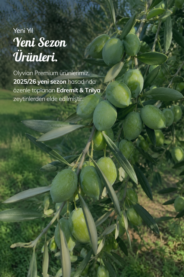 Premium Doğal Zeytinyağı 750 ml – Edremit & Trilye Cinsi Natürel Sızma (Soğuk Sıkım)