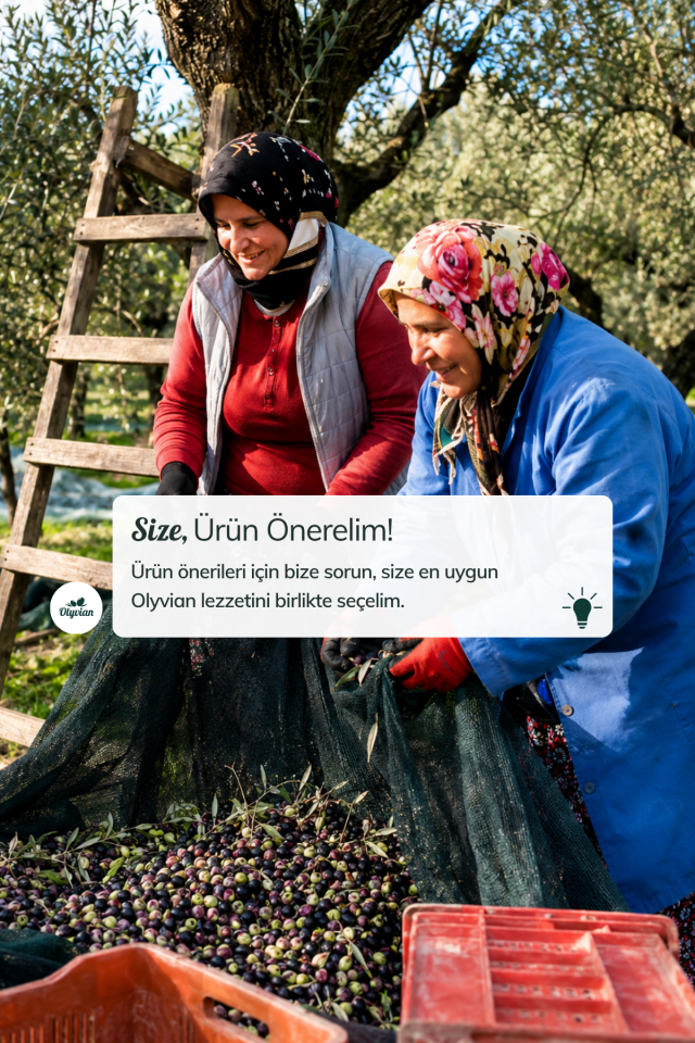 Premium Doğal Zeytinyağı 750 ml – Edremit & Trilye Cinsi Natürel Sızma (Soğuk Sıkım)