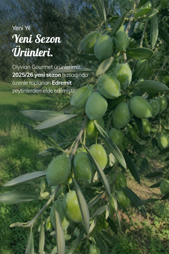 Gourmet Doğal Zeytinyağı 5 L – Edremit Cinsi Erken Hasat Natürel Sızma (Soğuk Sıkım)