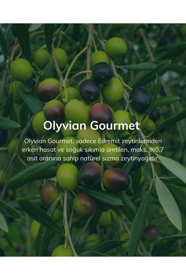 Gourmet Doğal Zeytinyağı 5 L – Edremit Cinsi Erken Hasat Natürel Sızma (Soğuk Sıkım)