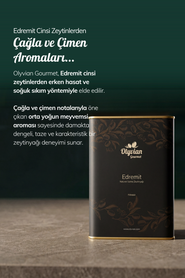 Gourmet Doğal Zeytinyağı 3 L – Edremit Cinsi Erken Hasat Natürel Sızma (Soğuk Sıkım)