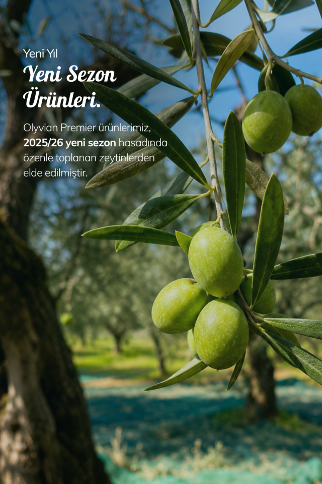 Premium Edremit Trilya Cinsi 3 L x 2 Adet Doğal Natürel Sızma Zeytinyağı